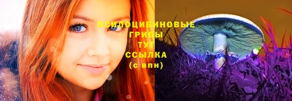 меф Арсеньев